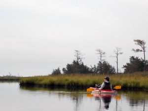 kayaker