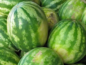 watermelons