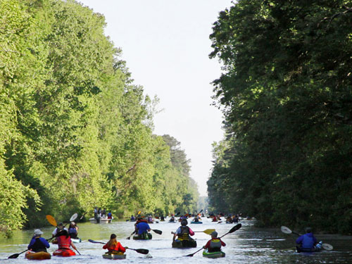 Dismal Swamp Canal paddle for the border