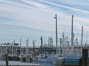 Newport News Seafood Industrial Park